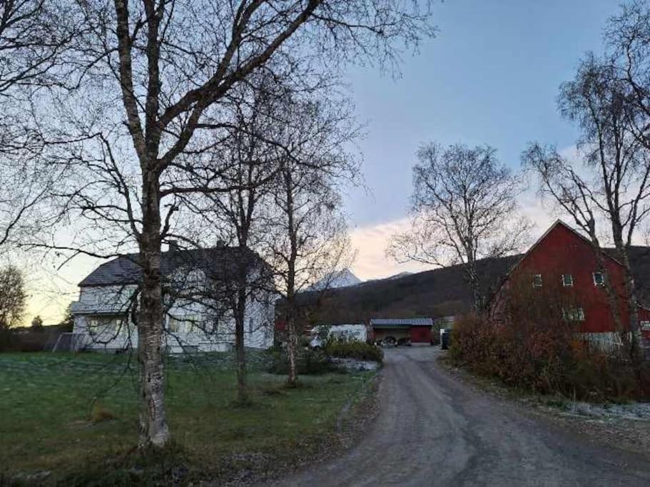 Farmroom With Sauna And Aurora 纳尔维克 外观 照片