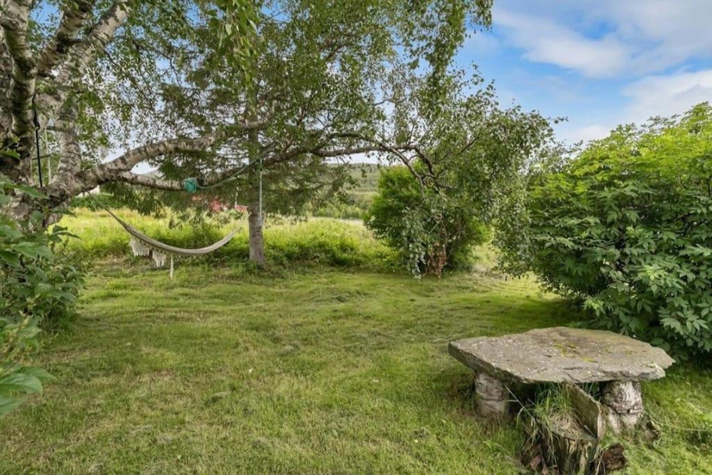 Farmroom With Sauna And Aurora 纳尔维克 外观 照片
