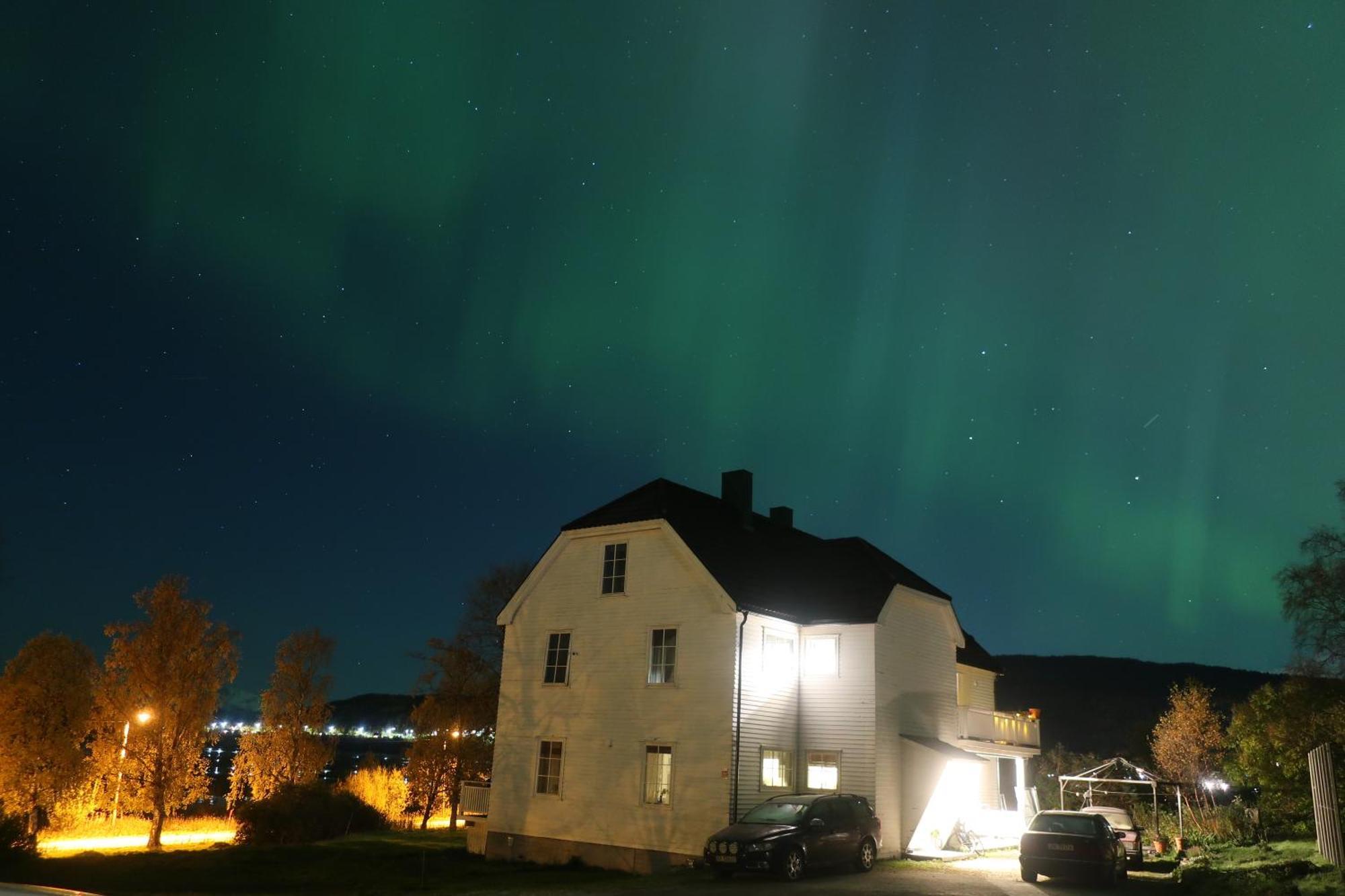 Farmroom With Sauna And Aurora 纳尔维克 外观 照片